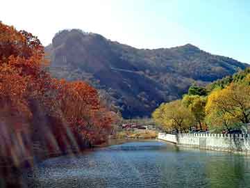 奥门天天开奖免费资料，丽婷野葛根怎么样